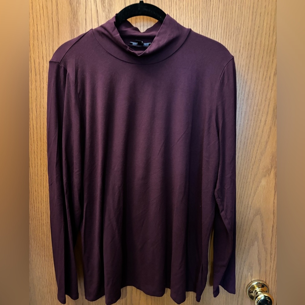 Eileen Fisher XL turtleneck. Excellent condition.
